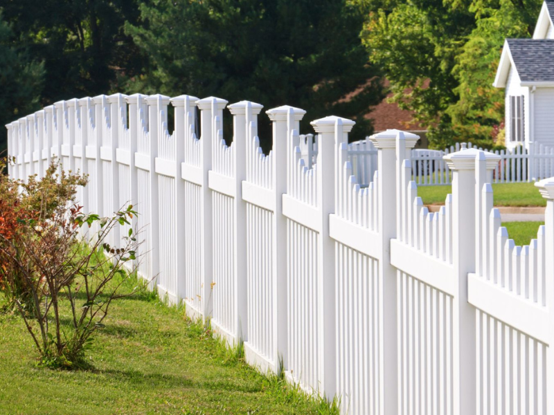 white fence in backyard